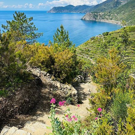Al Castello Apartment Riomaggiore Ngoại thất bức ảnh