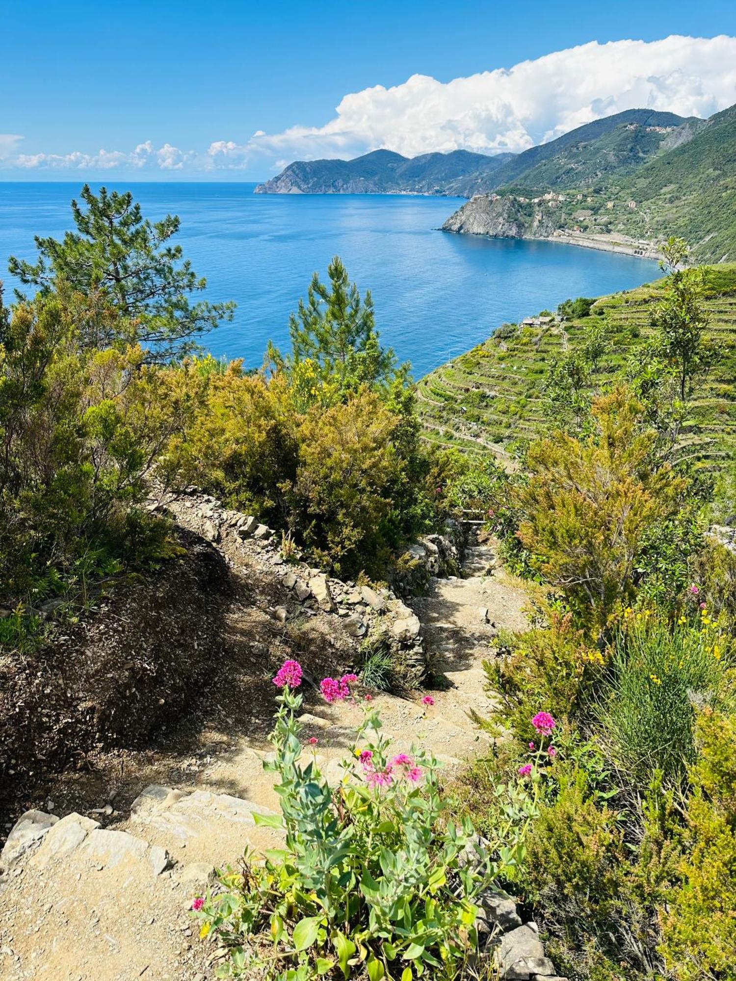 Al Castello Apartment Riomaggiore Ngoại thất bức ảnh